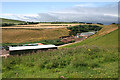 Drysdales Vegetable Packing Plant