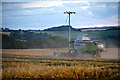 SX8799 : Mid Devon : Crop Field by Lewis Clarke