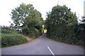 Mid Devon : Country Lane