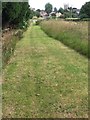 Grass Pathway