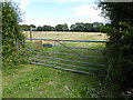 Gateway to Fowlers Field, footpath and wedding party