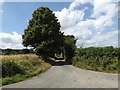 Wood Lane, Thelnetham