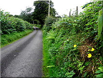 H5373 : Cairn Road, Drumnakilly by Kenneth  Allen
