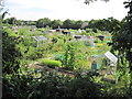 Wickham Road Allotments