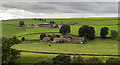 SJ9666 : Allmeadows and Burnt House by Peter McDermott