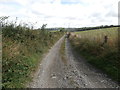 Farm track near Blaen-Cil-Llech