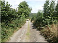 Farm track near Blaen-Cil-Llech