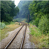 TQ5638 : Spa Valley Railway by Robin Webster
