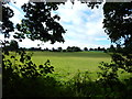 TQ1562 : Farmland View from Birchwood Lane by James Emmans