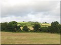 Harvested hay fields on the west side of Newry