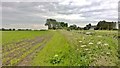 Looking towards Newstead Priory Farm