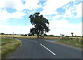 TM0988 : B1077 Mile Road, Short Green by Geographer