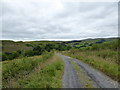 Track to Auchentaggart