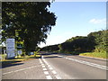 Basingstoke Road at the entrance to the Departure Lounge Cafe