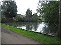 Duck pond at Eland Hall Farm