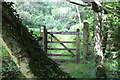 Gate, Sirhowy Valley Walk