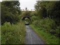 Castle Eden Walkway