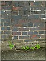 Bench mark, North Rode railway bridge