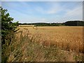 Shalstone Farmland