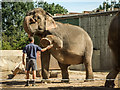 Blackpool Zoo