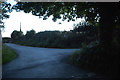 South Hams : Country Lane