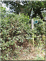 TM0173 : Byway sign off Honeypot Lane by Geographer