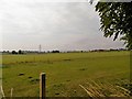 Farmland between East Bank and West Bank near Longforgan