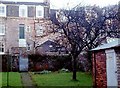 Back gardens between George Street and Glasgow Street