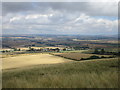 View from East Heslerton Brow