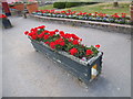 Flowerbeds outside Chipperfield Garden Centre