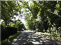 Entering Walsham le Willows on Summer Road