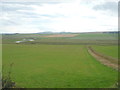 Farmland, Sordale