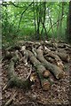 Habitat Logs