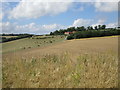 View towards Ling Hall Farm