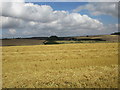 View towards Ling Hall Farm