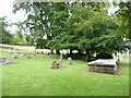 St Peter, Winterbourne Stoke: churchyard (III)