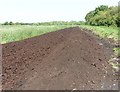 Peat excavations, Westhay Level