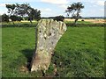 The Warrior Stone, Ingoe