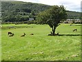 Lochranza Golf Course