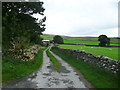 Driveway to Dry Beck Farm, Horton in Ribblesdale