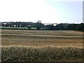 Harvested Crop Field near Hooton Roberts