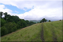SD6196 : The Dales Way, looking east to the Howgills by Tim Heaton