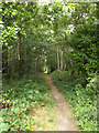 TQ4065 : Path on Hayes Common by Geographer