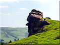 A face in the rocks