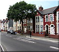 Tree and a row of houses, Broad Street, Barry