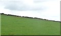 SC3472 : Field boundary on a hillside, north of Port Soderick by Christine Johnstone