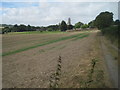 Through the fields towards West Dean