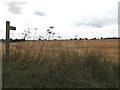 Footpath off Wattisfield Road