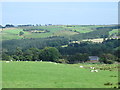 East Allen Dale around The Hagg