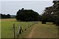 Footpath in Leybourne Park